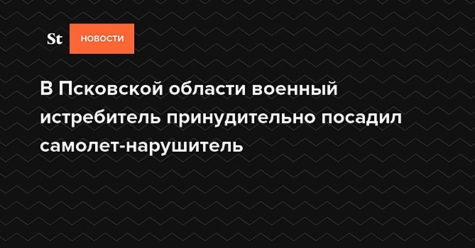 СМИ: В Псковской области российский истребитель принудительно посадил самолет-нарушитель