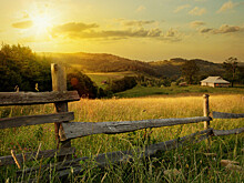 Современные агрогородки набирают популярность у жителей Беларуси