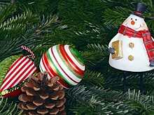 Жителей подмосковных Мытищ возмутили новогодние игрушки с флагом США