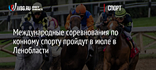 Международные соревнования по конному спорту пройдут в июле в Ленобласти