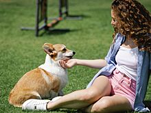 Ветеринар предупредила об опасности слизней для собак