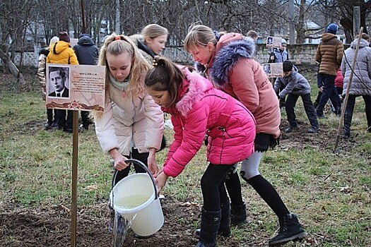 В Севастополе прошла акция «Дерево имени Героя»