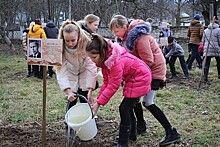 В Севастополе прошла акция «Дерево имени Героя»