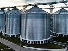 На увеличение производства масличных пензенские аграрии получат 33,9 млн рублей