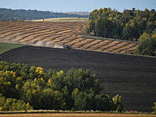 В Новгородской области ввели режим ЧС из-за переувлажнения почвы и потери урожая