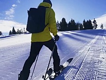 Хэмилтон: Хочется, чтобы моё тело превратилось в машину! 