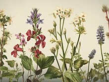 Экспозиция «Флора Юго-Запада Москвы» открылась в «Выставочном зале Варги»