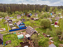 Как ухаживать за плодовыми деревьями для хорошего урожая