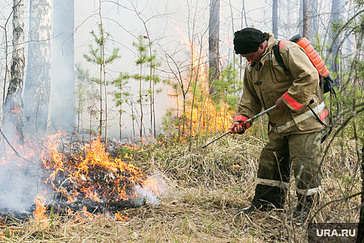 Эколог Хорошилов: региональные власти мало финансируют противодействие лесным пожарам
