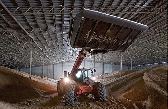 В российский интервенционный фонд закупили свыше 18 тыс. тонн зерна