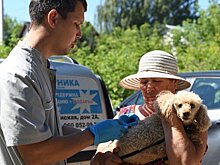 Мобильный пункт стерилизации животных приедет в казанский поселок Аракчино