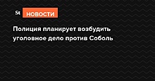 Полиция планирует возбудить уголовное дело против Соболь