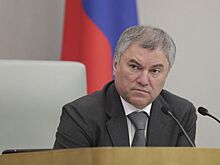 Рестораторы пожаловались Володину на торговые сети