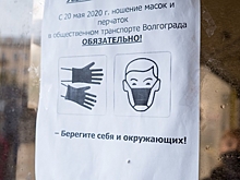 Выпускников в Волгоградской области 29 мая поздравляют с последним звонком в режиме онлайн