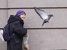 Назван размер средней пенсии в России в 2026 году