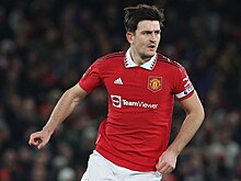 В Футбольной ассоциации Англии обеспокоились большим числом легионеров в АПЛ