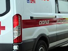 Один человек погиб после наезда грузового поезда на автобус в Ленобласти