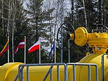Европейцам рассказали об условиях жизни без российского газа