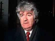 Экс-президент республики Сербской подал в суд на Великобританию