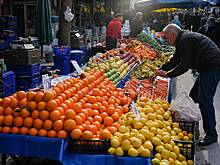 Россия рекордно закупилась турецкими цитрусовыми