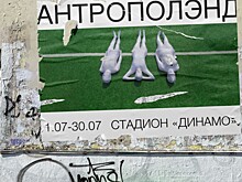 Выставка-путешествие «Антрополэнд» откроется на стадионе «Динамо» 1 июля