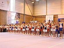 В Сызрани прошел турнир на призы Алексея Немова