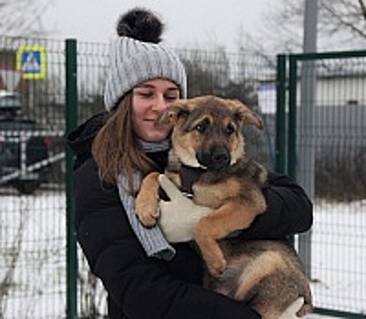 Волонтер приюта «Зеленоград» Алина Цветкова: Каждое животное – это отдельная интереснейшая личность