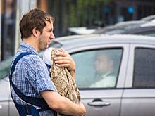 В России появится "отцовский капитал"