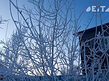 Посёлок на Колыме почти месяц живёт без отопления и воды в 50-градусный мороз