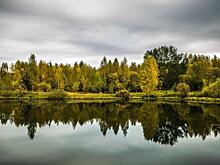 Россиян позвали на субботник по сбору человеческих останков