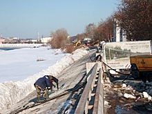 Закатать в бетон или сберечь деревья: что известно про обустройство набережной Камы в Перми