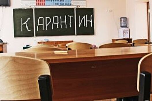Три класса псковских школ закрыли на карантин