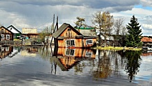 УрФО: незаконная петрушка, большая вода и утипусечки