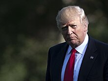 Защита россиянина Никулина обратилась к Трампу