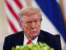 На Западе раскрыли последствия нового плана Трампа