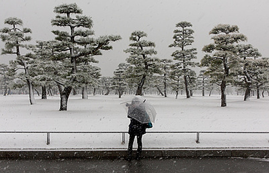 Снегопады в крупных городах мира. Досье