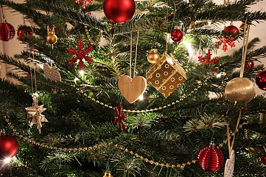В Хорошево-Мневниках подвели итоги конкурса рождественских елок