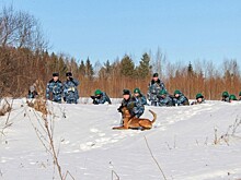 Хозяйка Дикой Мяты стала лучшим кинологом Вологодской области