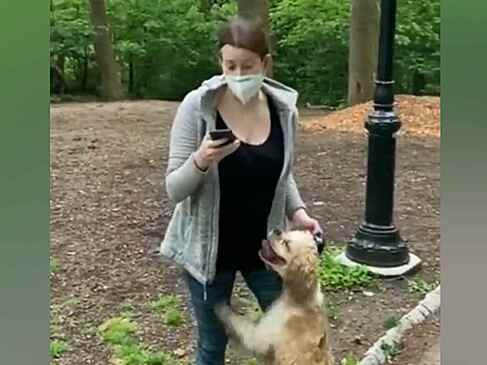 У женщины отобрали собаку и уволил за донос на темнокожего