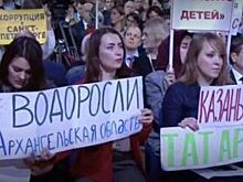 Какой вопрос должны были задать об архангельских водорослях Путину?