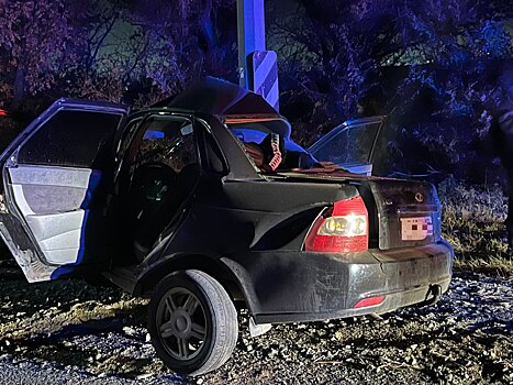 Смертельная авария в Оренбуржье: водитель «Лады» протаранил опору ЛЭП