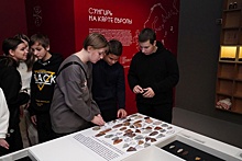 Во владимирском музее открылась выставка украшений из палеолита