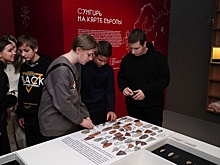 Во владимирском музее открылась выставка украшений из палеолита