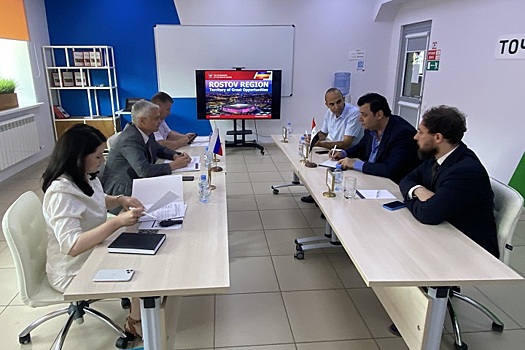 Ростовская область и Сирия будут развивать сотрудничество в сфере ветроэнергетики