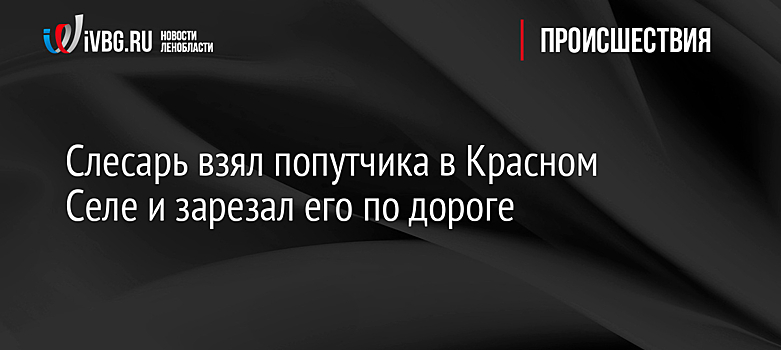 Слесарь взял попутчика в Красном Селе и зарезал его по дороге