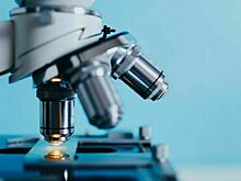 Клинические исследования новых ветпрепаратов предложили обязать проводить в РФ