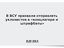 На Украине предложили создать концлагеря для уклонистов