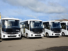 Число городских автобусов на улицах упало в 2,5 раза