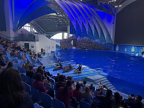 В январе гости Приморского океанариума могли отправить более 80 тысяч фото в соцсетях и мессенджерах