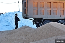 Курганские аграрии отправили тысячи тонн гороха в Китай